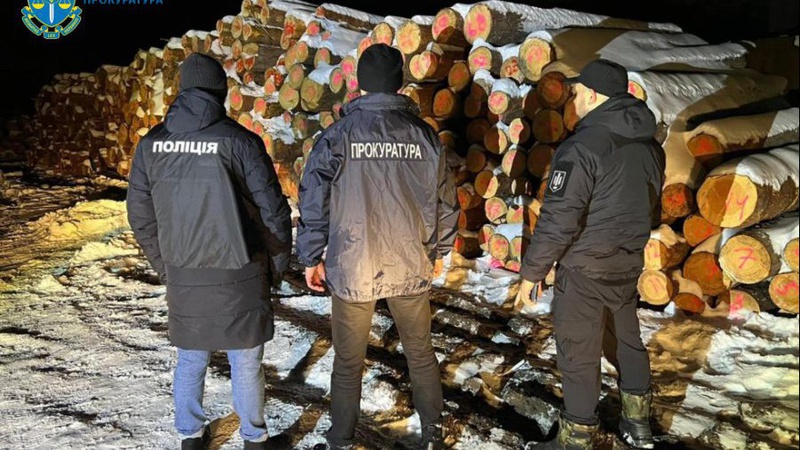 На Волині викрили банду, яка незаконно різала ліс на мільйони гривень