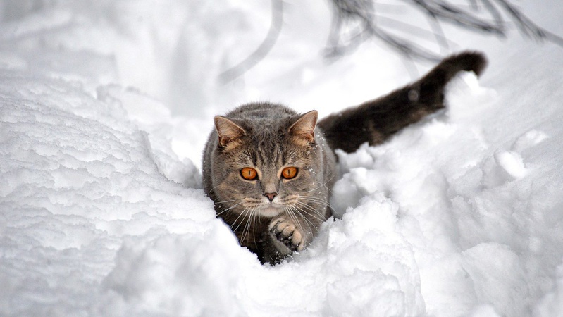 Сніг та ожеледиця: прогноз погоди на 13 січня