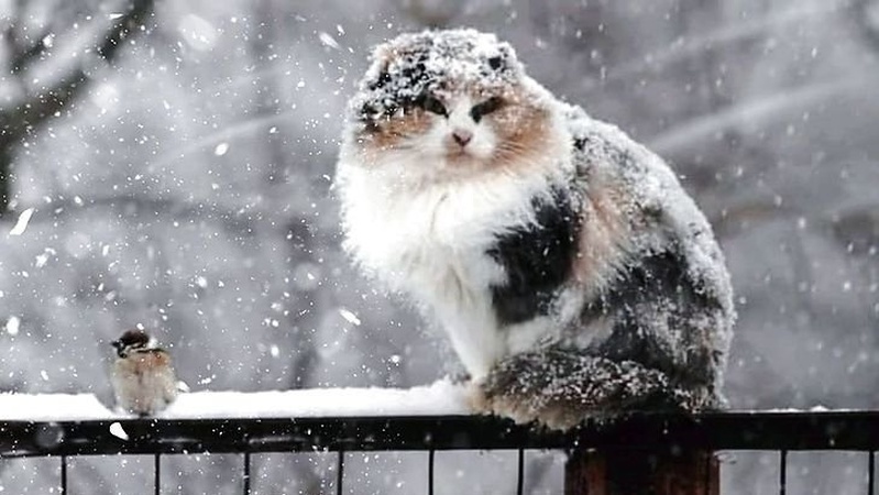 Хмарно, опади в низці областей: прогноз погоди на 7 лютого