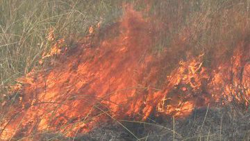 На Волині за добу погасили 4 пожежі