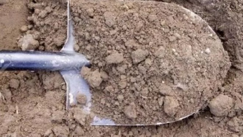 Живого засипали землею: у Рожищі чотирьох чоловіків судили за катування бізнесмена