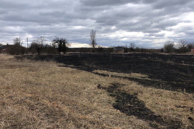 Волинянин цигаркою спалив шмат поля
