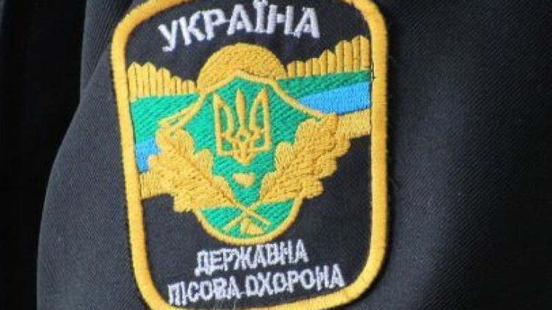 На Волині затримали «чорних лісорубів», які знищували державний ліс