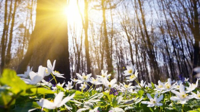 Синоптикиня розповіла, де в Україні чекати на зниження температури повітря