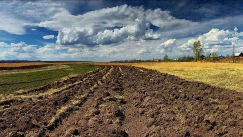 Мотокультиватор: в чому переваги, особливості, як вибрати*