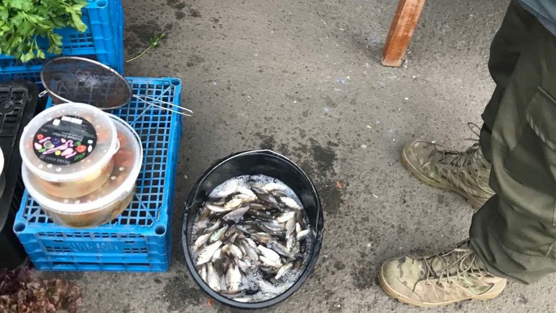 На Волині продовжують ловити та штрафувати рибалок