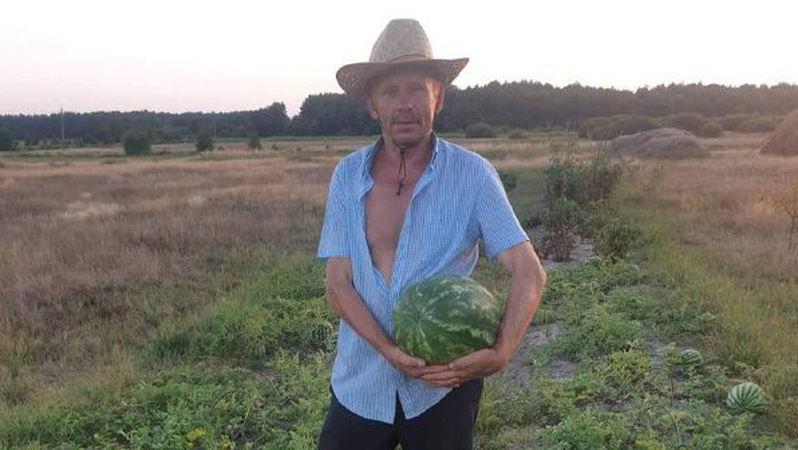 Як на Любешівщині вирощують кавуни