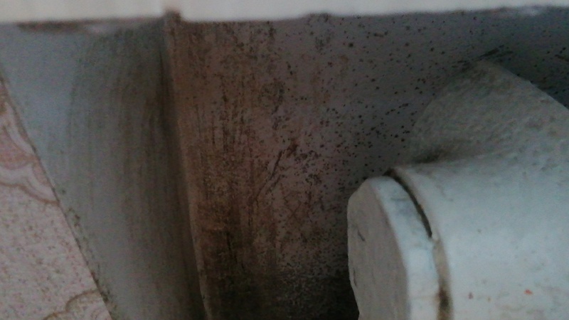 60 років такого не було: у луцькій багатоповерхівці через відсутність тепла запліснявіли стіни у квартирах. ФОТО. ВІДЕО