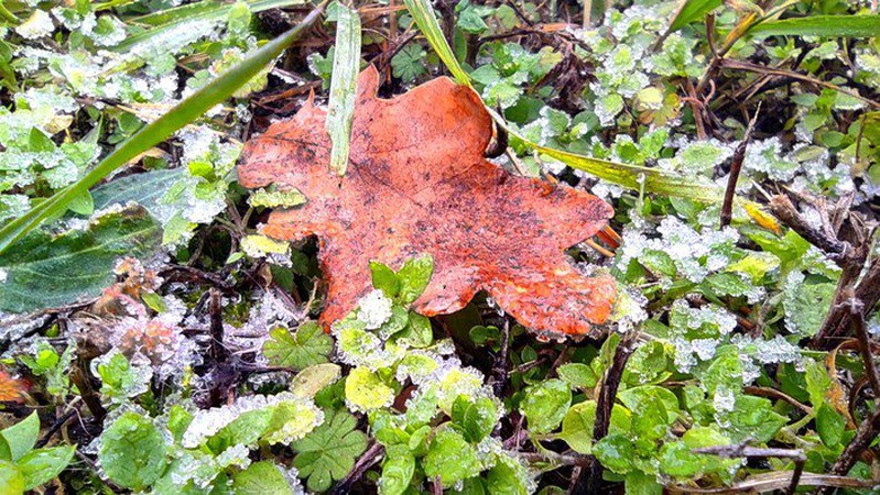 Мінлива хмарність та перші заморозки: прогноз погоди на 9 жовтня