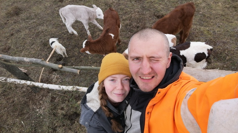 Теляча мама: як колишня юристка розвиває незвичайну ферму