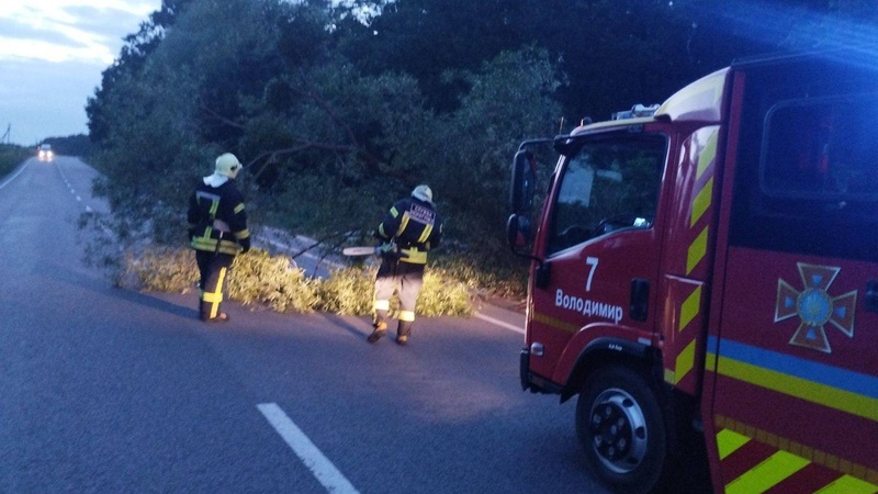 На Волині через негоду на дорогу впало дерево