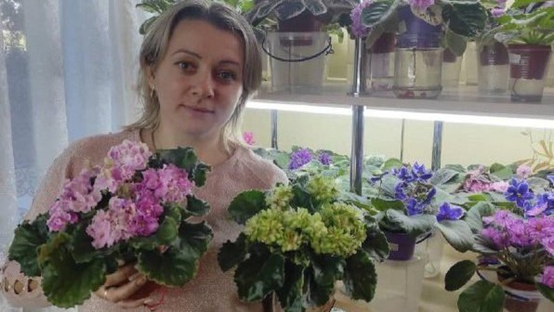Волинянка вирощує понад 400 сортів фіалок. ФОТО