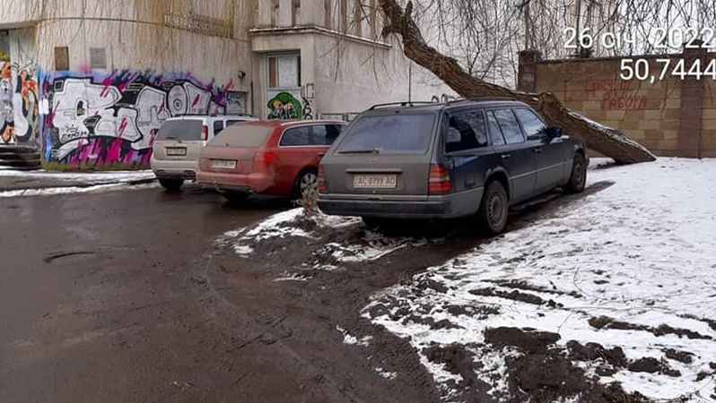 У Луцьку «автохами» знищили зелену зону