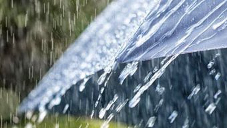 Чи дощитиме завтра, 1 липня