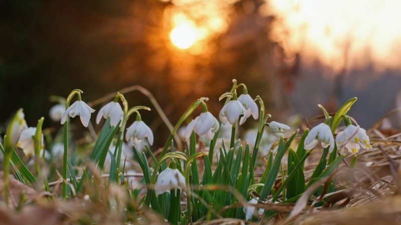 Яка погода буде в Україні на початку березня