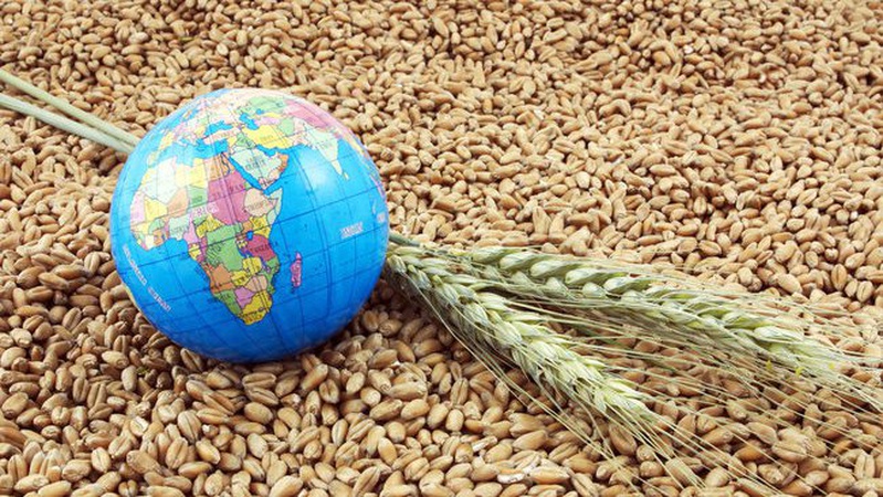 «Нам загрожує пекло на землі». В ООН закликали покласти край війні в Україні й відкрити порти для зерна