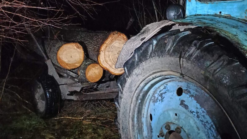 У селі на Волині виявили незаконну деревину