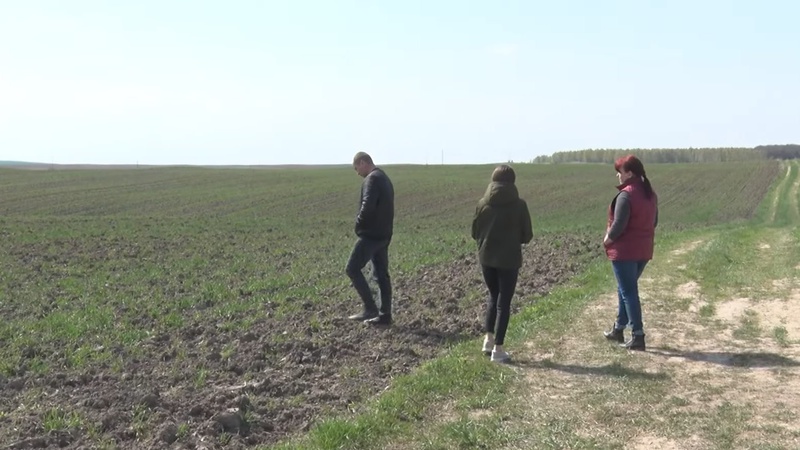 На Волині у вдови атовця, поки вона хворіла, забрали 30 гектарів поля