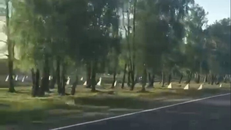 Білорусь встановила «зуби дракона» поблизу кордону з Україною