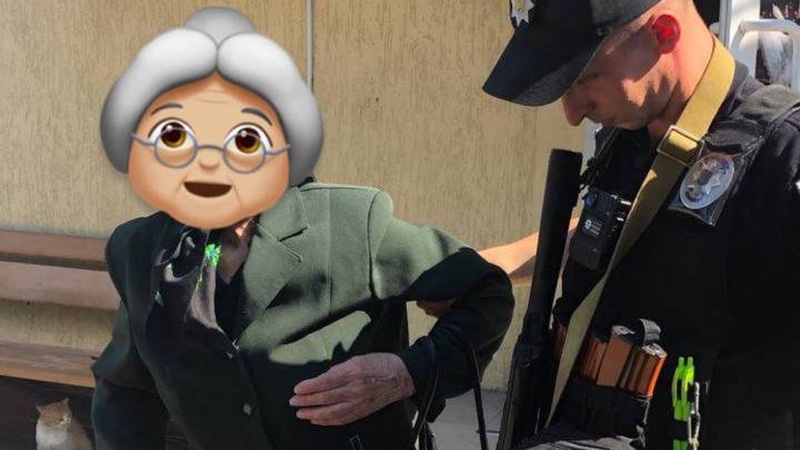 У Луцьку небайдужий чоловік разом з патрульними допоміг пенсіонерці дістатися дому