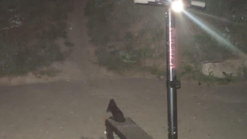 У Луцьку молодий хлопець поцупив електросамокат