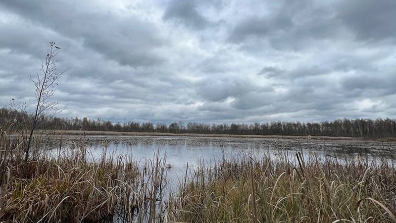 На Волині досліджують маловідоме озеро. ФОТО