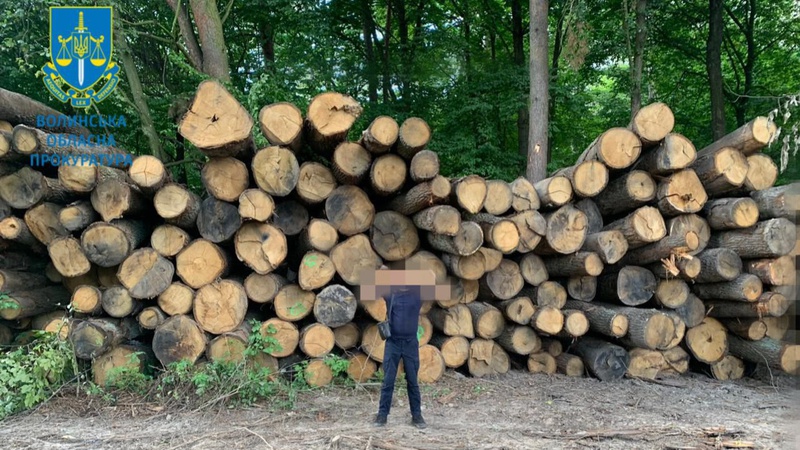 Нарубали на 16,5 млн грн: на Волині керівник Нацпарку постане перед судом