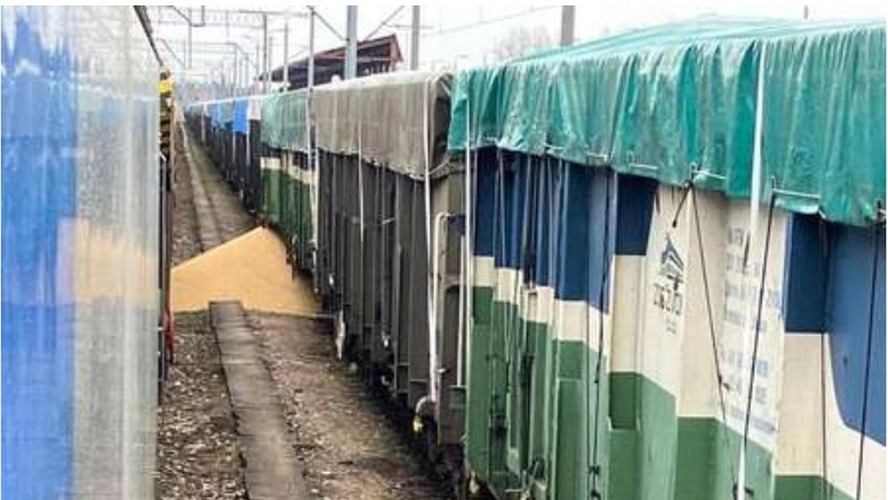 У Польщі поблизу кордону з Волинню втретє висипали українське зерно на залізницю