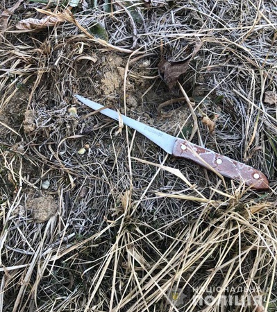 Волинянин встромив ніж у груди односельцю