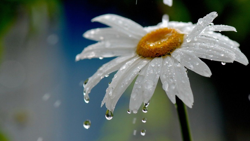 Дощі та місцями грози: прогноз погоди на 29 травня