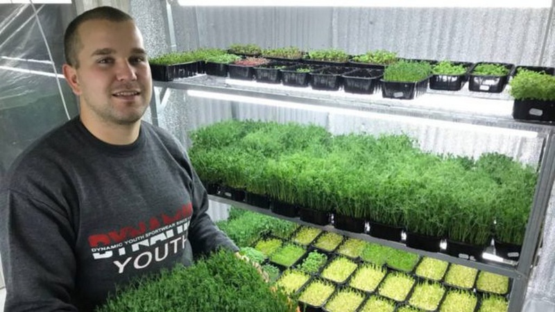 25-річний волинянин вирощує мікрозелень