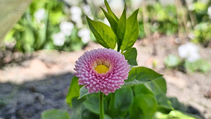 Дощі, місцями грози у низці областей: прогноз погоди на 14 квітня