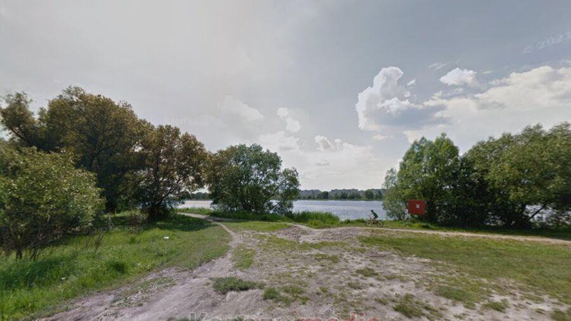 У Ковелі зріжуть 136 дерев