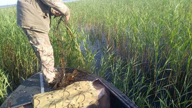 10 сіток браконьєрів виявили в Шацькому нацпарку за тиждень