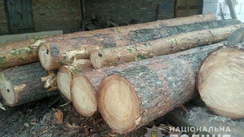 Лісівники викликали поліцію, бо волинянин зрізав три сосни