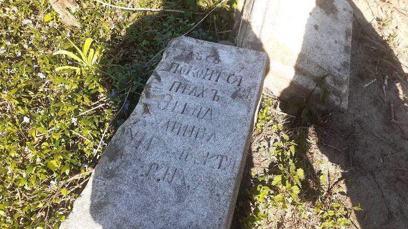 На Волині під час зрізання дерев на цвинтарі понищили старовинні пам’ятники