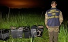 На Волині троє контрабандистів утекли від прикордонників і покинули 12 ящиків цигарок