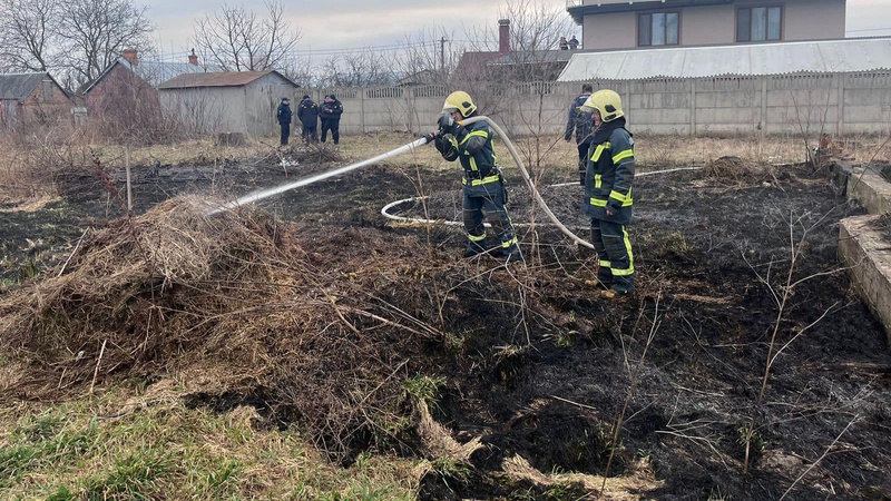Волинянин підпалив поле й ледь не спалив прилеглі будинки