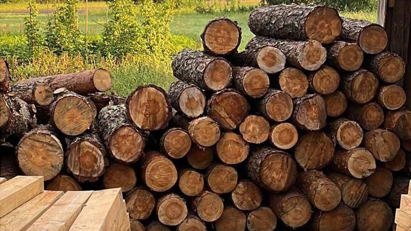 Волинські поліцейські виявили у чоловіка вдома незаконну деревину, зброю та набої