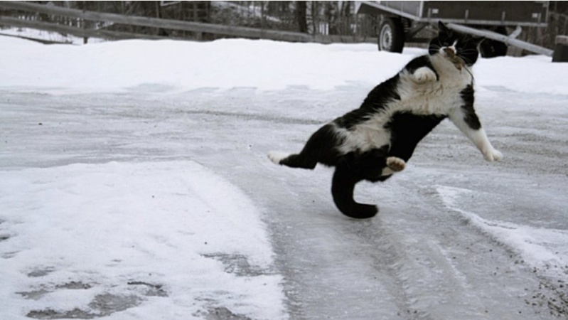 Жовтий рівень небезпечності: на Волині прогнозують сильний вітер та ожеледицю