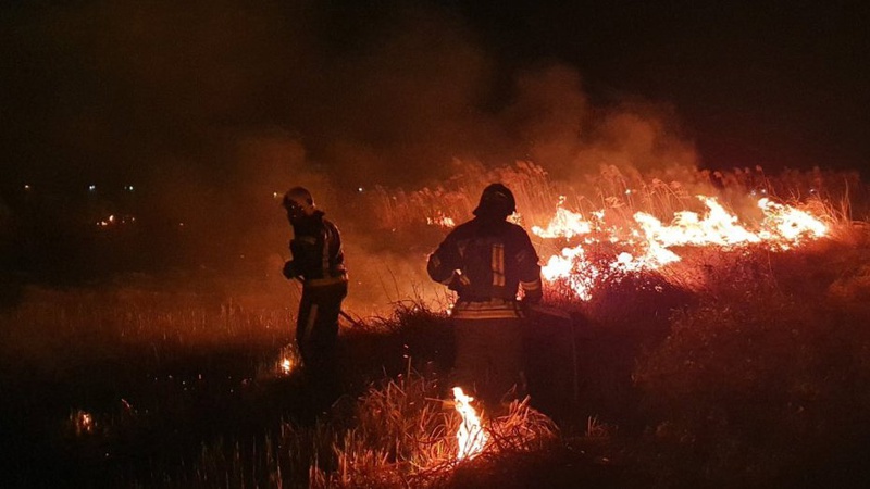 Палій з Волині відбувся умовним покаранням за підпал 200 га заказника
