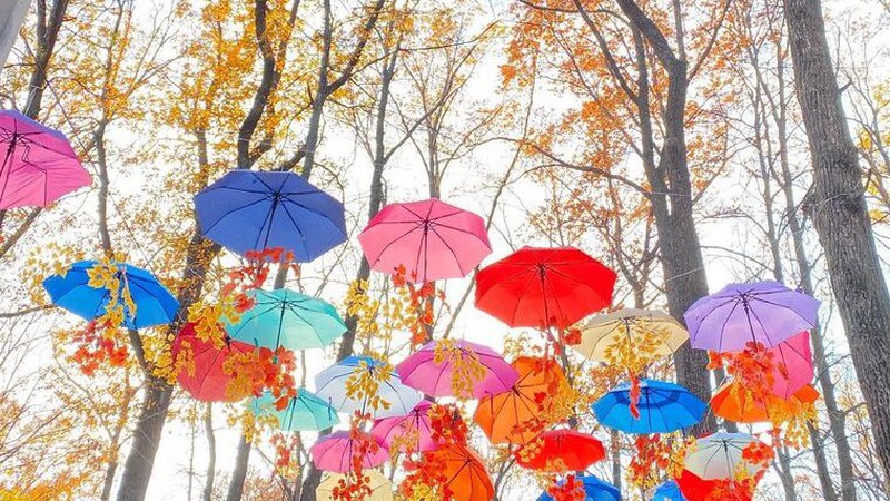 Що прогнозують волинські синоптики у п’ятницю, 5 листопада