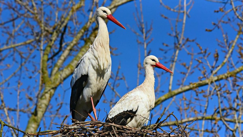На вихідних в Україну прийде потепління