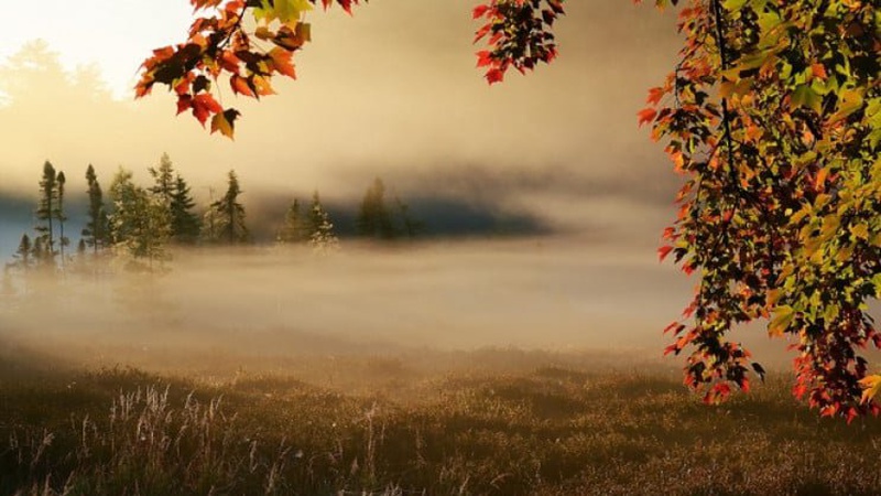 Тепло і без опадів: прогноз погоди на 28 вересня