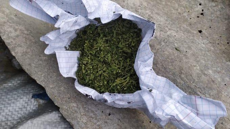 Під Луцьком спіймали юнаків з наркотиками і пістолетом