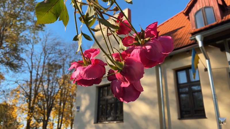 Мандрівник показав осінні волинські пейзажі, від яких перехоплює подих