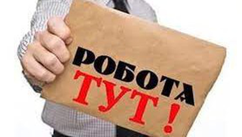 На ринку праці зростає кількість вакансій для кандидатів без досвіду роботи - дослідження