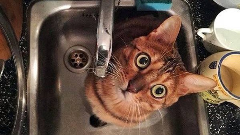 Жителів селища на Волині залишили без води