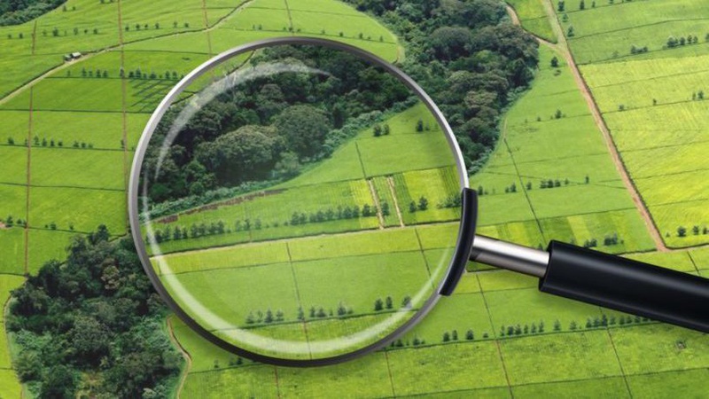 Сільрада незаконно виділила земельну ділянку вартістю 1 млн гривень волинянину у використання