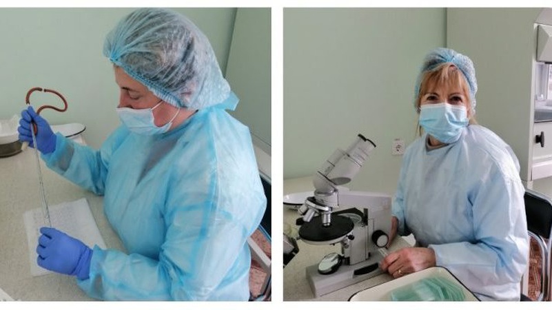 Волинянка під час випасу худоби підчепила небезпечну інфекцію